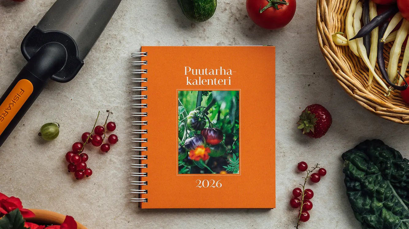 Mitä pihalla kannattaa tehdä nyt? Puutarhakalenteri neuvoo vuoden ympäri