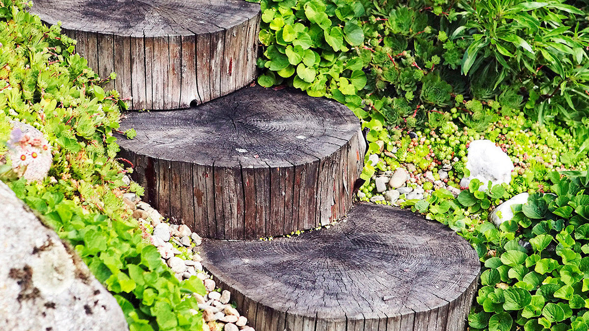 Tuunaa ja tee itse! Nämä erikoislehdet innostavat tarttumaan kodin pieniin ja suuriin projekteihin