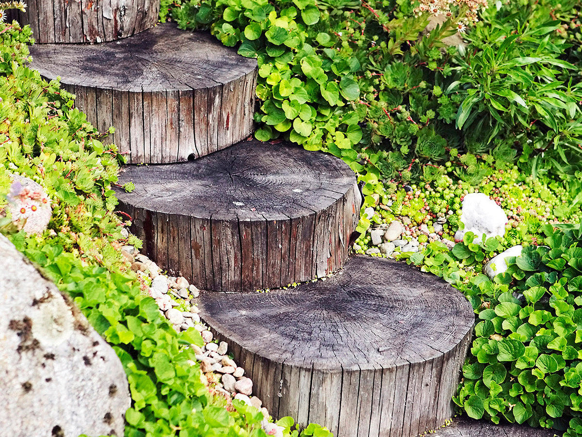 Tuunaa ja tee itse! Nämä erikoislehdet innostavat tarttumaan kodin pieniin ja suuriin projekteihin