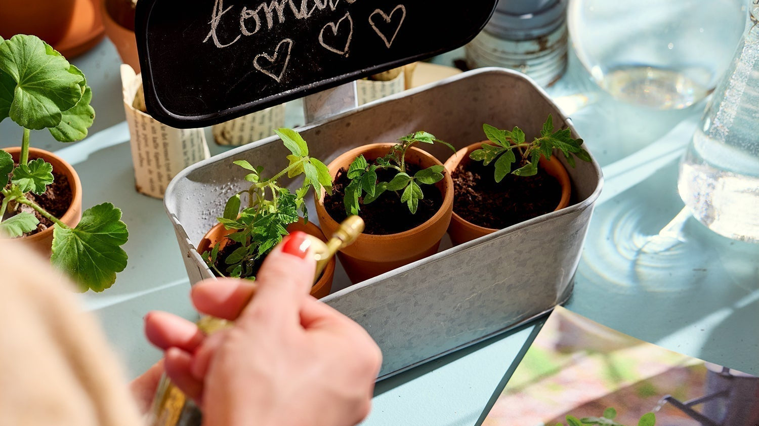 Laita puutarhatietosi puntariin ja testaa, oletko todellinen viherpeukalo!