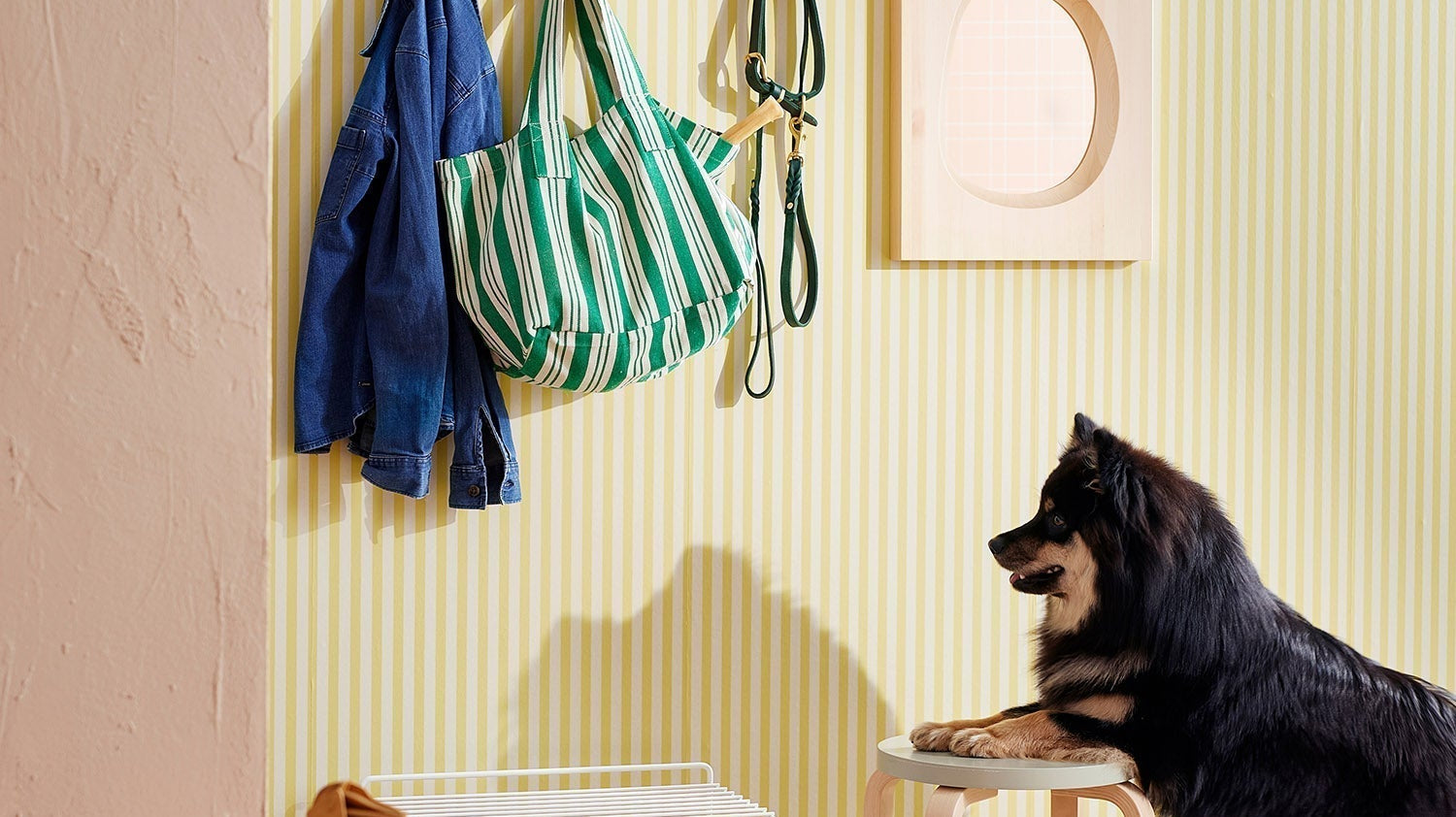 Avotakan päätoimittaja poimi 3 suosikkiaan valikoimamme tapeteista – kurkkaa innostavat valinnat & nappaa vinkit