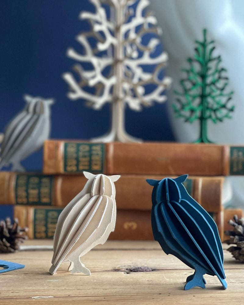 Lovi Owls and old books