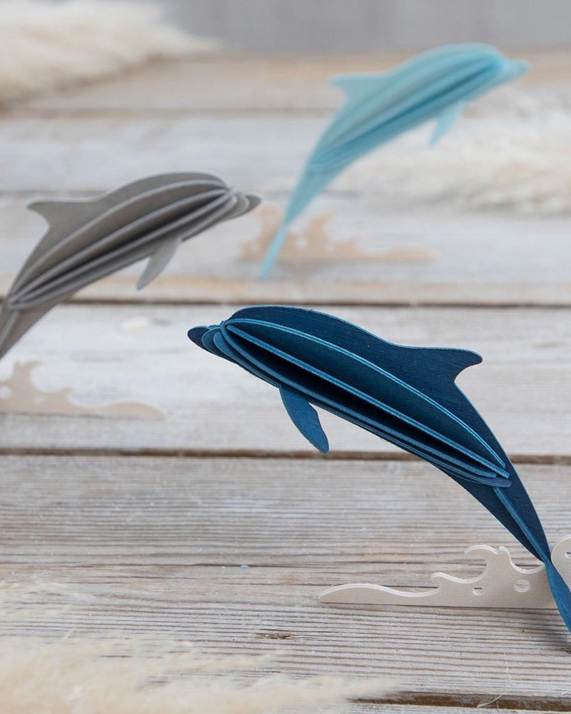 delfiini lovi delfiini