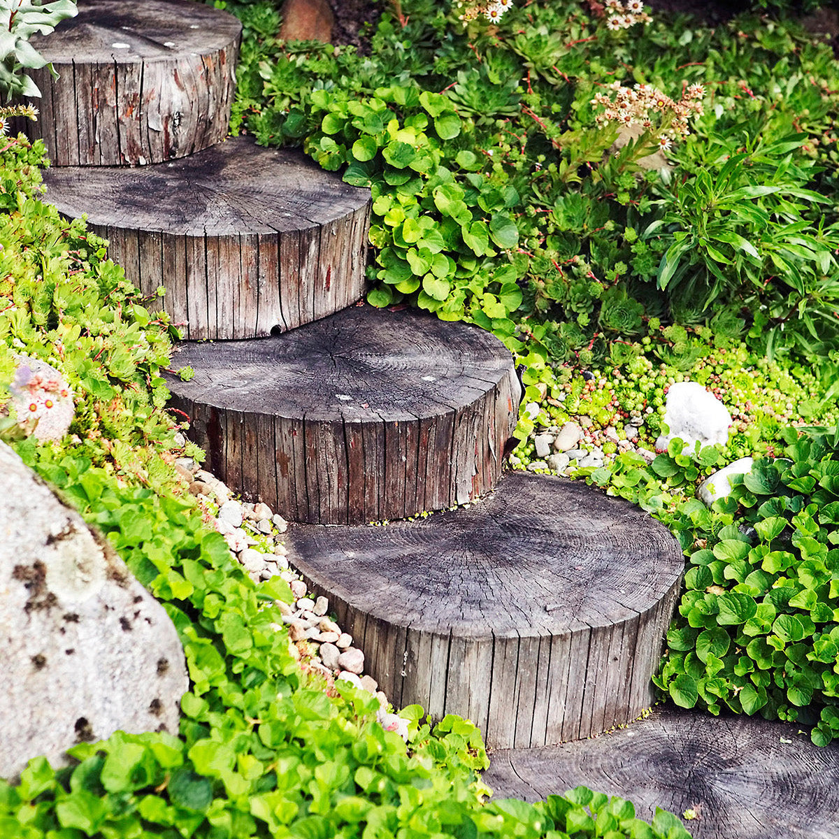 Tuunaa ja tee itse! Nämä erikoislehdet innostavat tarttumaan kodin pieniin ja suuriin projekteihin