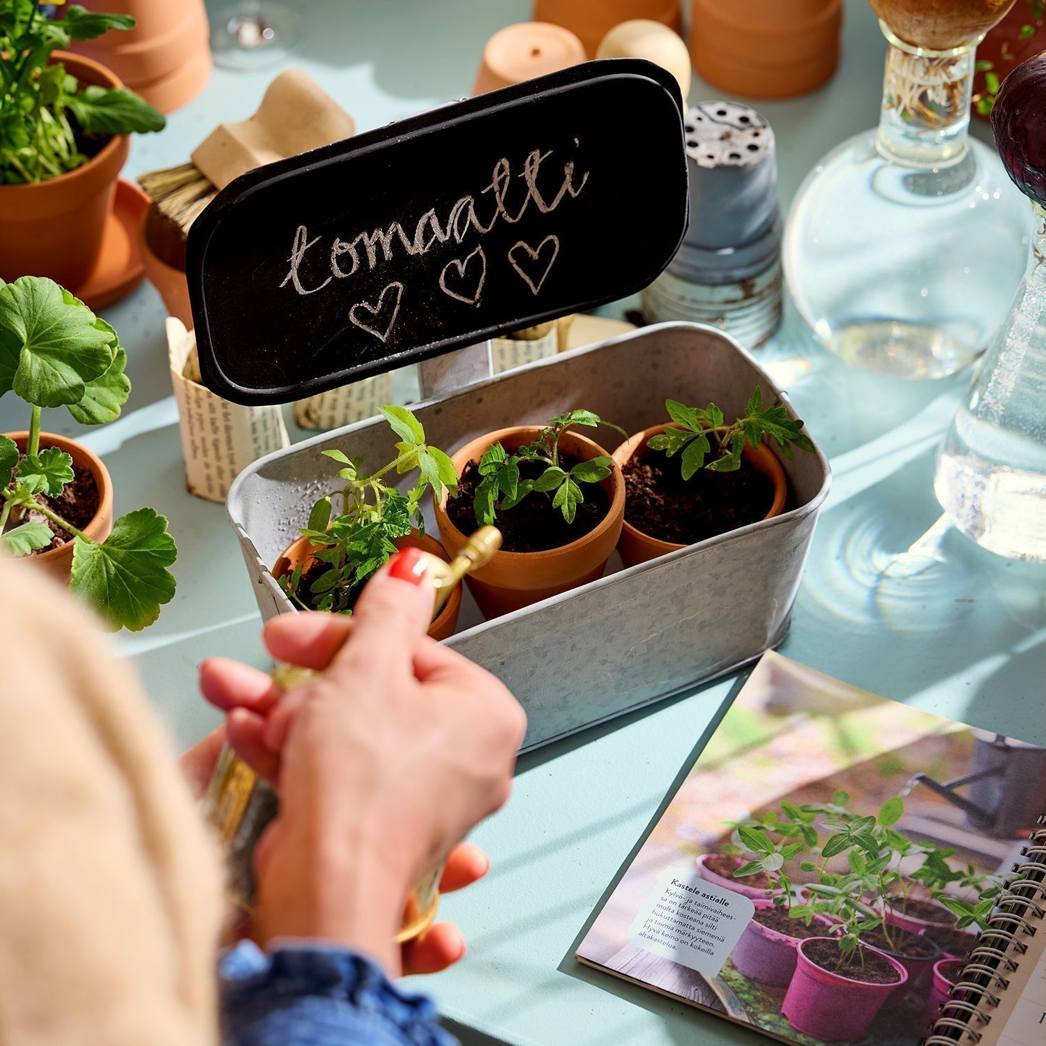 Laita puutarhatietosi puntariin ja testaa, oletko todellinen viherpeukalo!