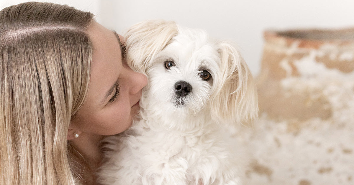 Oliver's Life & Style